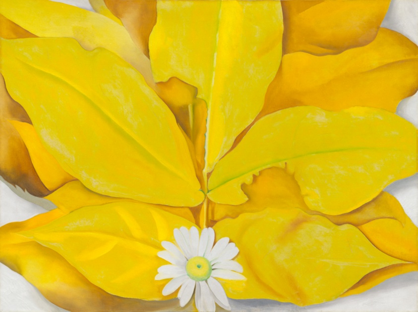 Yellow Hickory Leaves with Daisy