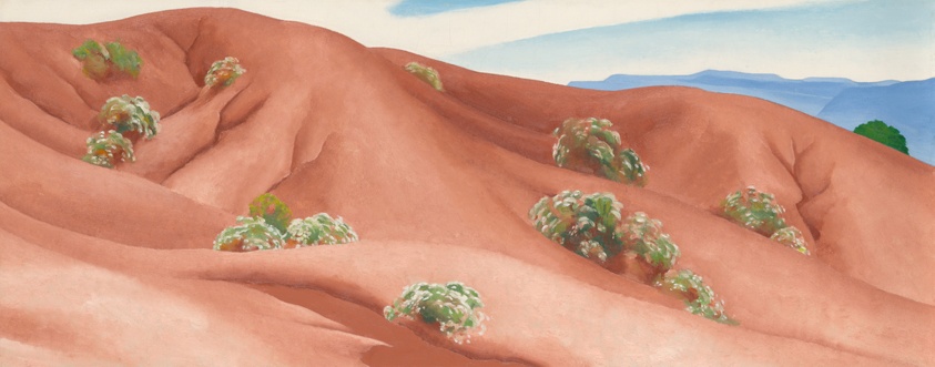Red Hills with Flowers